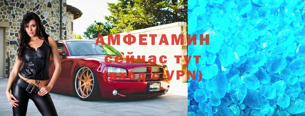 прущие грибы Надым