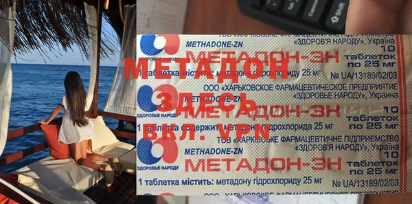 прущие грибы Надым