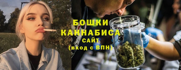 прущие грибы Надым