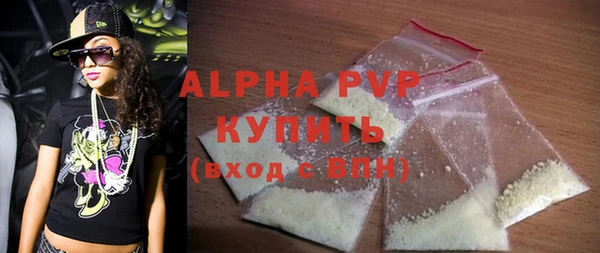 прущие грибы Надым
