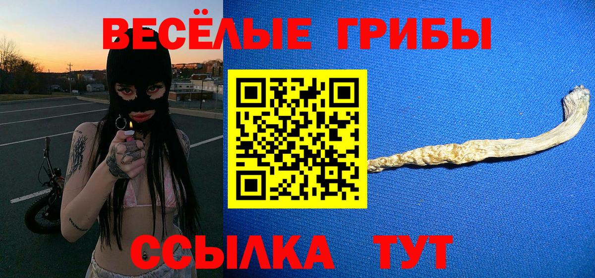 Псилоцибиновые грибы прущие грибы Ейск